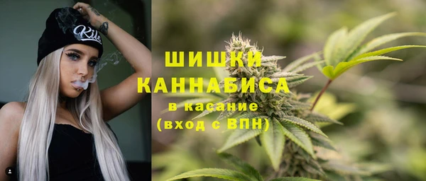 прущие крисы Богданович