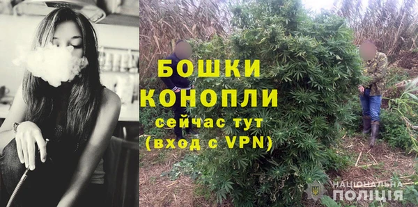 экстази Богородицк